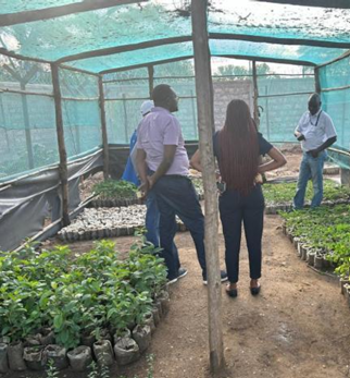 We design and facilitate training on access to finance, digital finance and the platform economy for financial institutions and development partners.