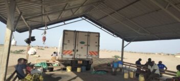 From Lake Turkana to Nairobi: The Struggle for Fish Availability and Market Access