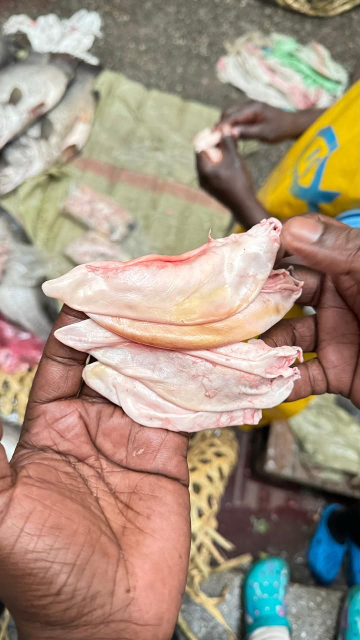 Dried fish prepared for market in the Lake Turkana region