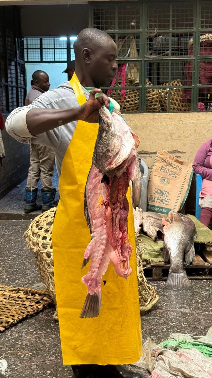 Fish trader at a market in the Lake Turkana to Nairobi supply chain