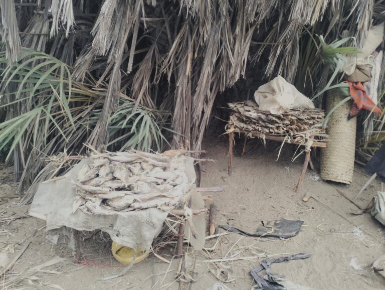 Fish drying area near Lake Turkana, northern Kenya