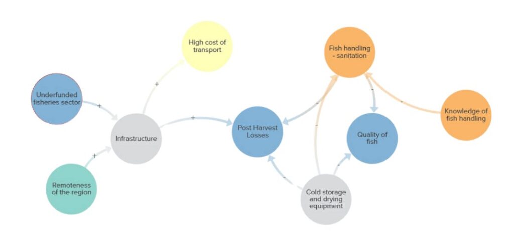 Light system map of the Lake Turkana fisheries value chain